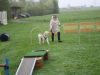 image025