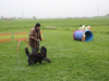 image020