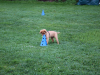image001