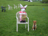 image002