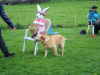 image008