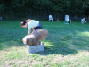 image001