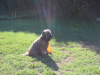 image007