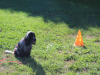 image010