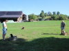image013