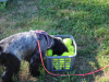 image019