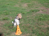 image020