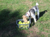 image021