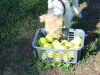 image022