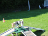 image044