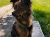 lucy